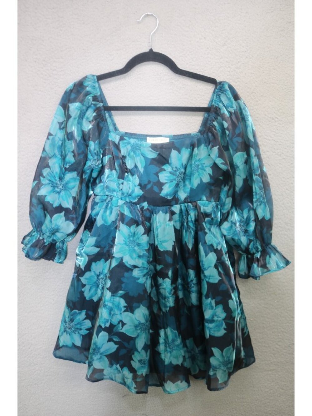 Thirty Thirty Sheer Dark Floral Puff Sleeve Babydoll Dress-Small-Whimsigoth